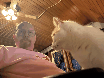 Arlacat